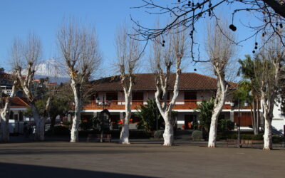 Participar para decidir: abrir la política a la gente